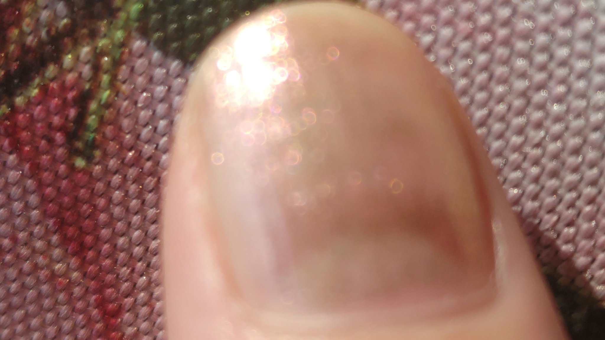 ネイル エナメル/ちふれ/マニキュアを使ったクチコミ（3枚目）