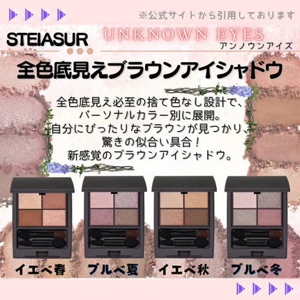 アンノウンアイズ/STEIASUR(ステイアシュール)/アイシャドウパレットを使ったクチコミ(6枚目)