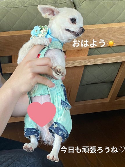 スキン PFCT ローション/GIVENCHY/化粧水を使ったクチコミ(6枚目)