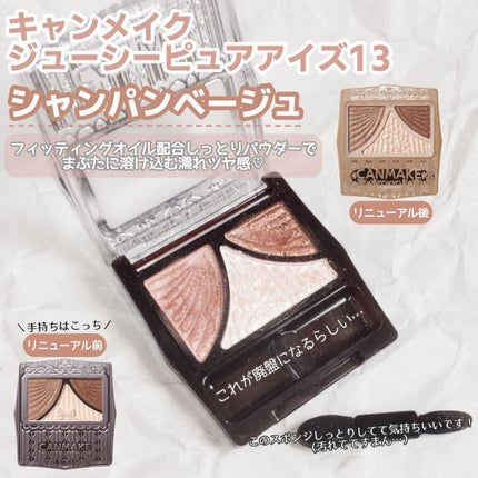 ジューシーピュアアイズ/キャンメイク/アイシャドウパレットを使ったクチコミ(2枚目)