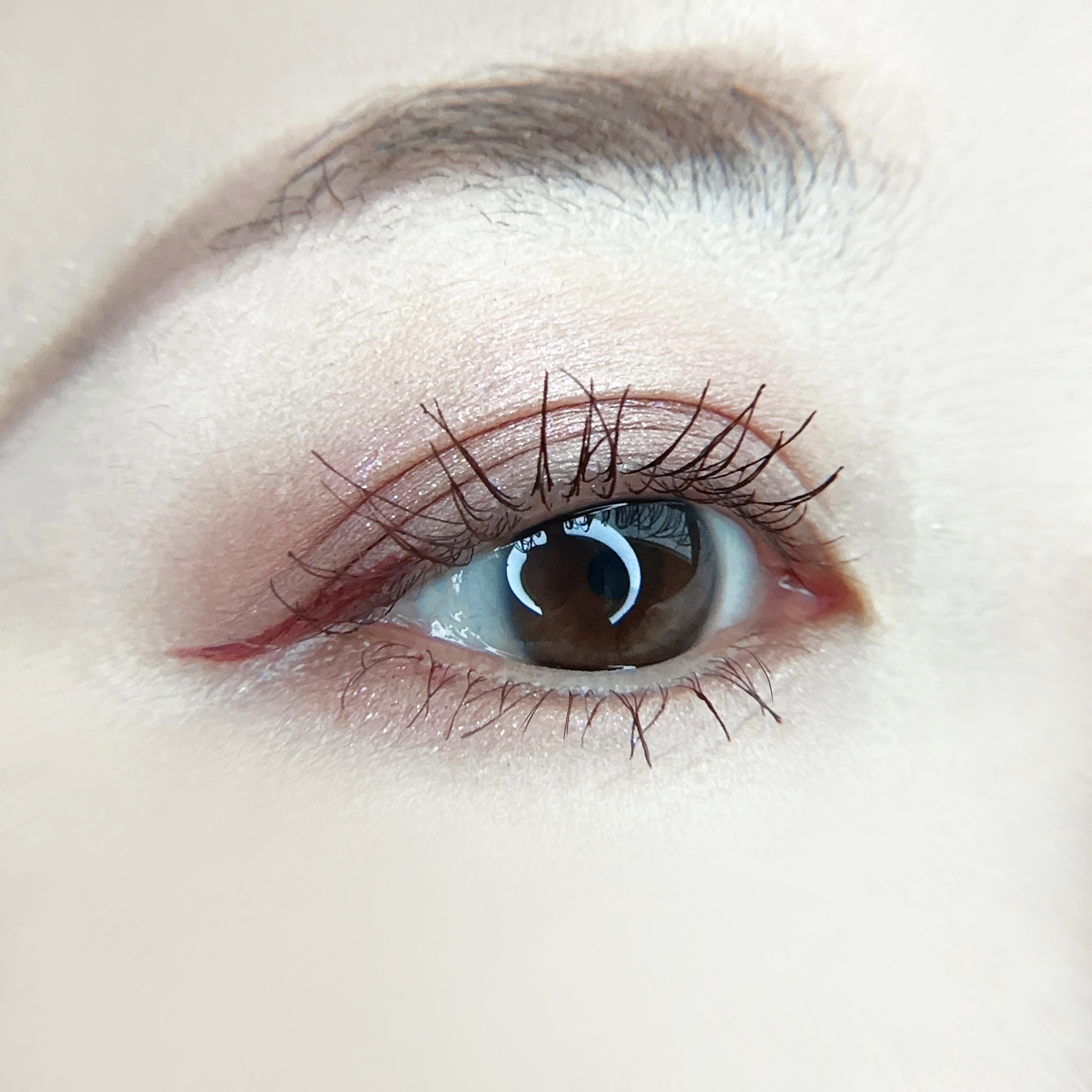 ブラーフィニシュシャドウパレット/Dinto/アイシャドウパレットを使ったクチコミ（2枚目）