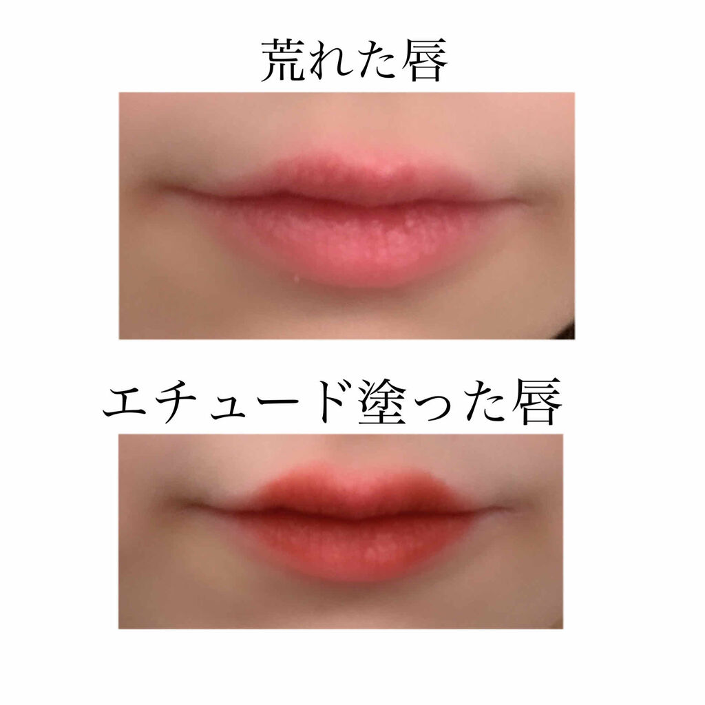 ハーシー パウダールージュティント BR401/ETUDE/口紅を使ったクチコミ（2枚目）