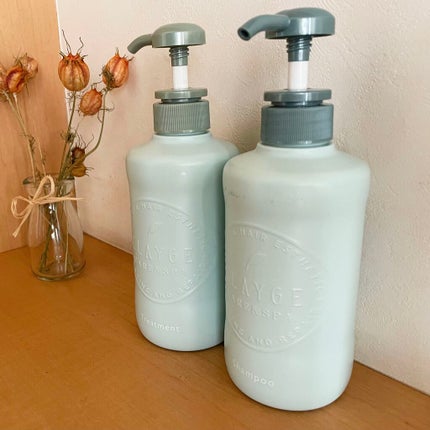 シャンプー/トリートメントR /CLAYGE/シャンプー・コンディショナーを使ったクチコミ(1枚目)