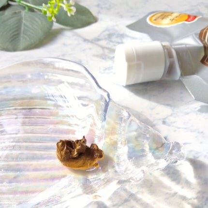 クレムドアン ブラウンクリームシャンプー/creme de Ann/市販シャンプーを使ったクチコミ(2枚目)