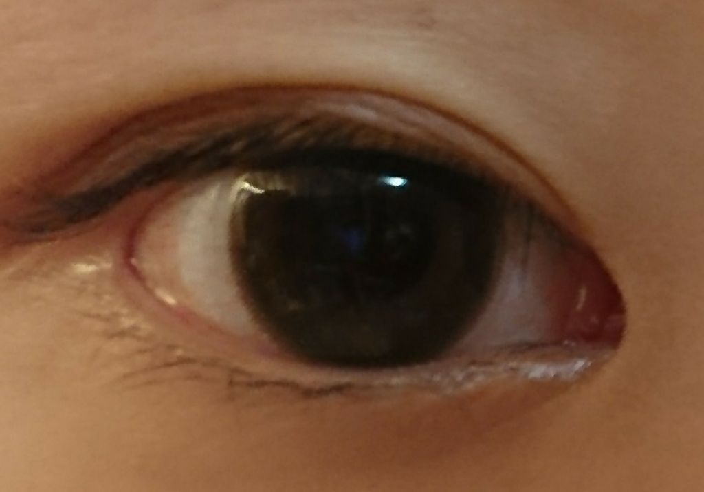 ReVIA 1day/ReVIA/ワンデー(1DAY)カラコンを使ったクチコミ(3枚目)