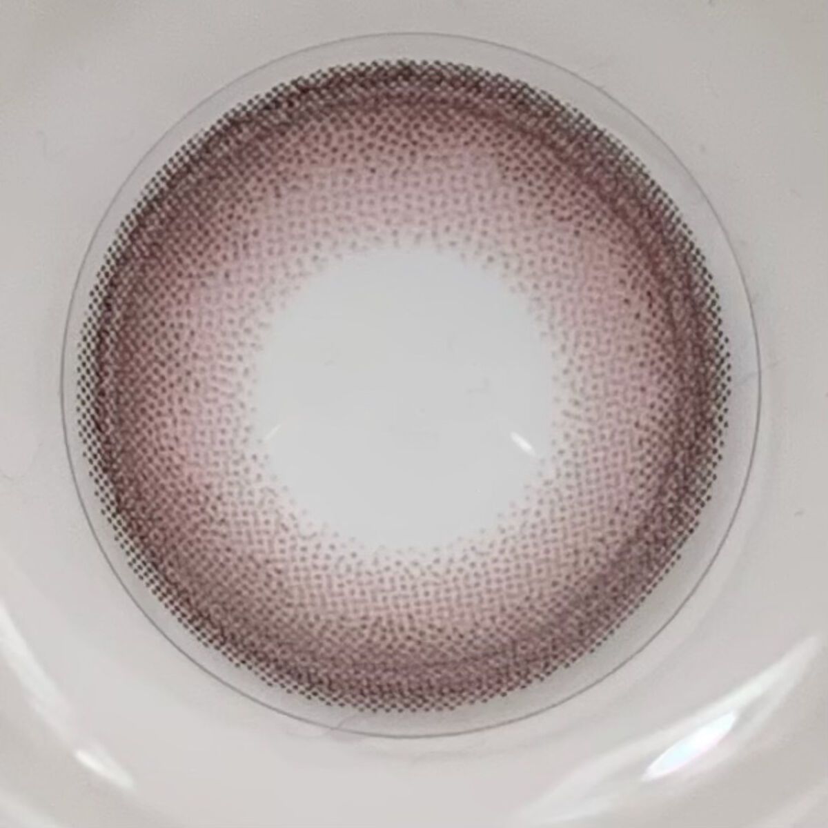 Angelcolor Bambi Series 1day /AngelColor/ワンデー（１DAY）カラコンを使ったクチコミ（2枚目）