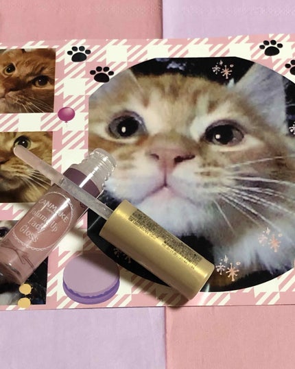 ボリュームアップレディグロス/キャンメイク/リップグロスを使ったクチコミ(1枚目)