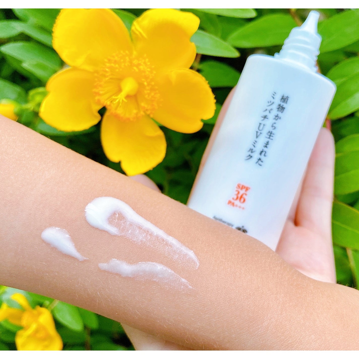 植物から生まれたミツバチUVミルク/アピセラピーコスメティクス/日焼け止めミルクを使ったクチコミ(6枚目)