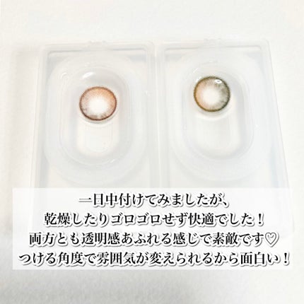 i-sha/蜜のレンズ/カラーコンタクトレンズを使ったクチコミ(6枚目)