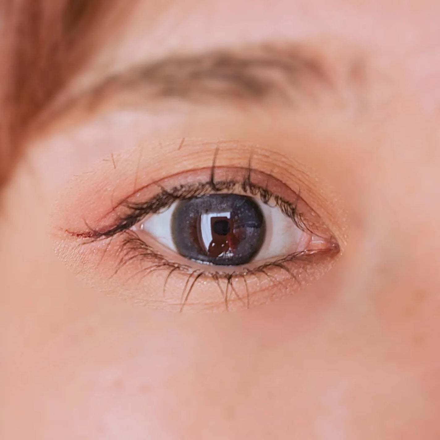 フェアリー ワンデー シマーリングシリーズ/FAIRY/ワンデー(1DAY)カラコンを使ったクチコミ(4枚目)