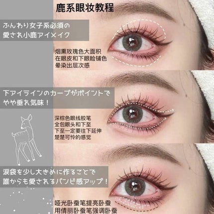 整形メイクちゃん on LIPS 「同じ目でもアイメイクによって別人に?愛され動物を集めたアイメイ..」(5枚目)