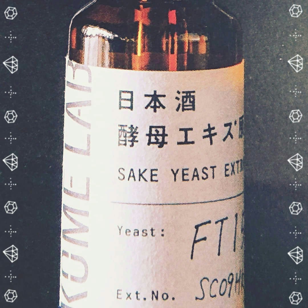 日本酒酵母エキス/KOME LAB/美容液を使ったクチコミ（2枚目）