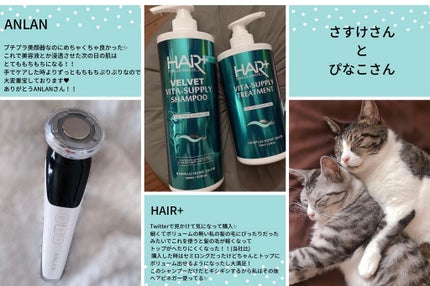 タトゥーベルベットティント #06 ミニョン/フォレンコス/リップティントの画像