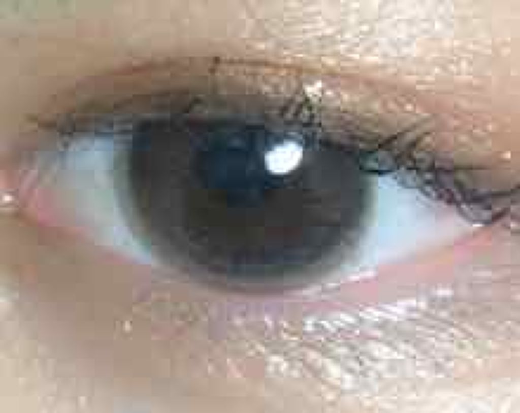 スキニーリッチシャドウ/excel/アイシャドウパレットを使ったクチコミ(2枚目)