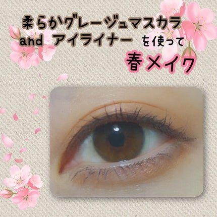 シルキーリキッドアイライナーWP/D-UP/リキッドアイライナーを使ったクチコミ(1枚目)