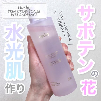 スキングロウトナー ビタラディアンス/Huxley/化粧水を使ったクチコミ(1枚目)