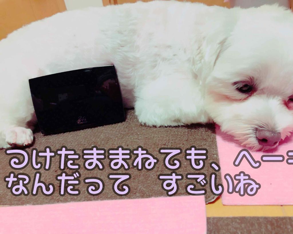 プレミアム パウダーファンデーション リフィル/24h cosme/パウダーファンデーションを使ったクチコミ（2枚目）