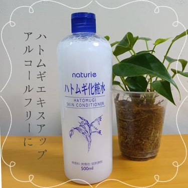 ハトムギ化粧水(ナチュリエ スキンコンディショナー R )/ナチュリエ/化粧水を使ったクチコミ（1枚目）