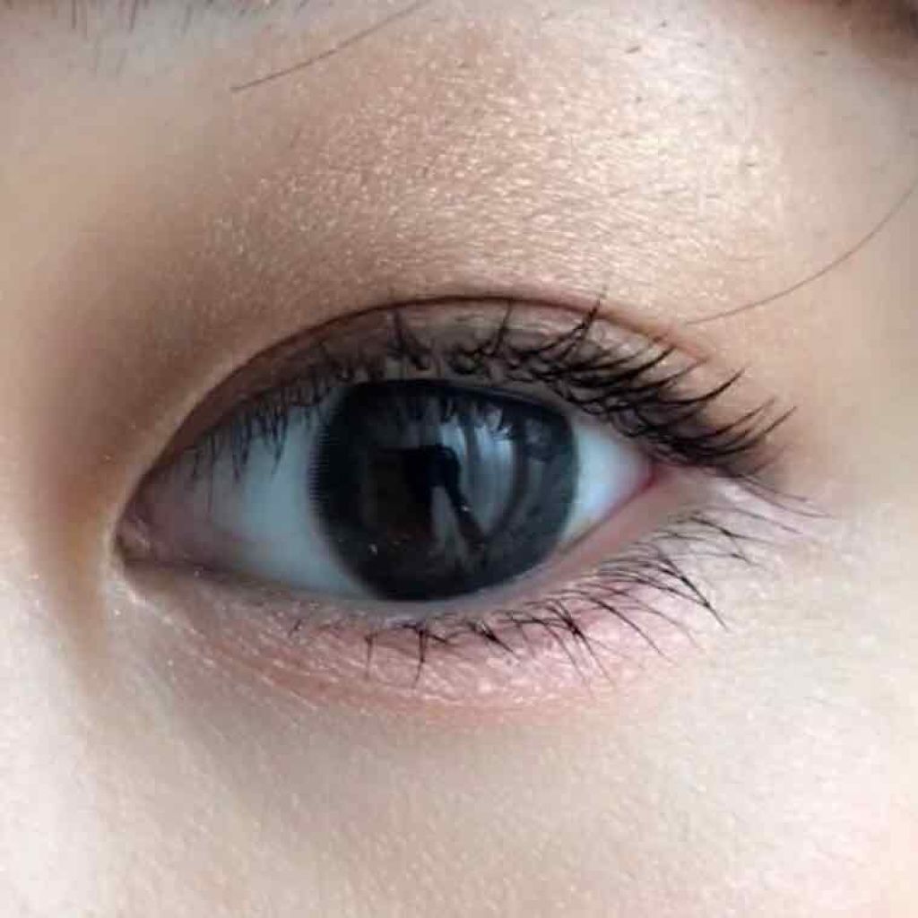 ロイヤルヴィンテージ アイズ/リンメル ロンドン/アイシャドウパレットを使ったクチコミ（1枚目）