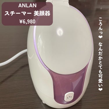 スチーマー美顔器/ANLAN/美顔器・マッサージを使ったクチコミ（2枚目）