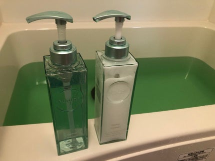 プルント コントロール美容液シャンプー/トリートメント/Purunt./市販シャンプーを使ったクチコミ(1枚目)