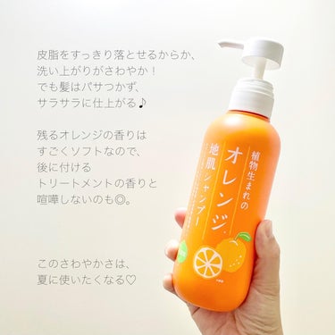 植物生まれのオレンジ地肌シャンプーS／オレンジ果汁トリートメントN つめかえ用（340ｍL）/石澤研究所/シャンプー・コンディショナーの画像