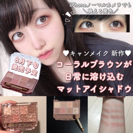 プティパレットアイズ(マットタイプ)/キャンメイク/パウダーアイシャドウを使ったクチコミ(1枚目)