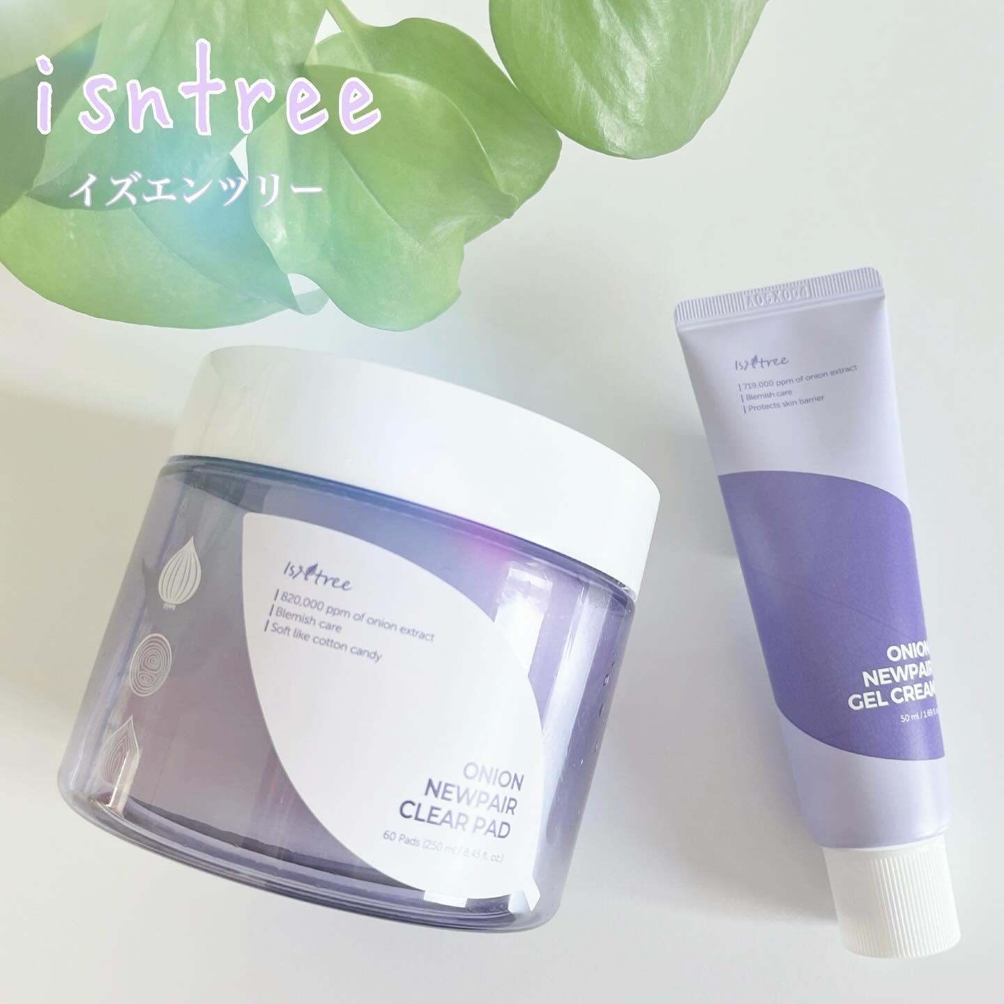オニオンニューペア クリアパッド/Isntree/トナーパッドを使ったクチコミ（1枚目）