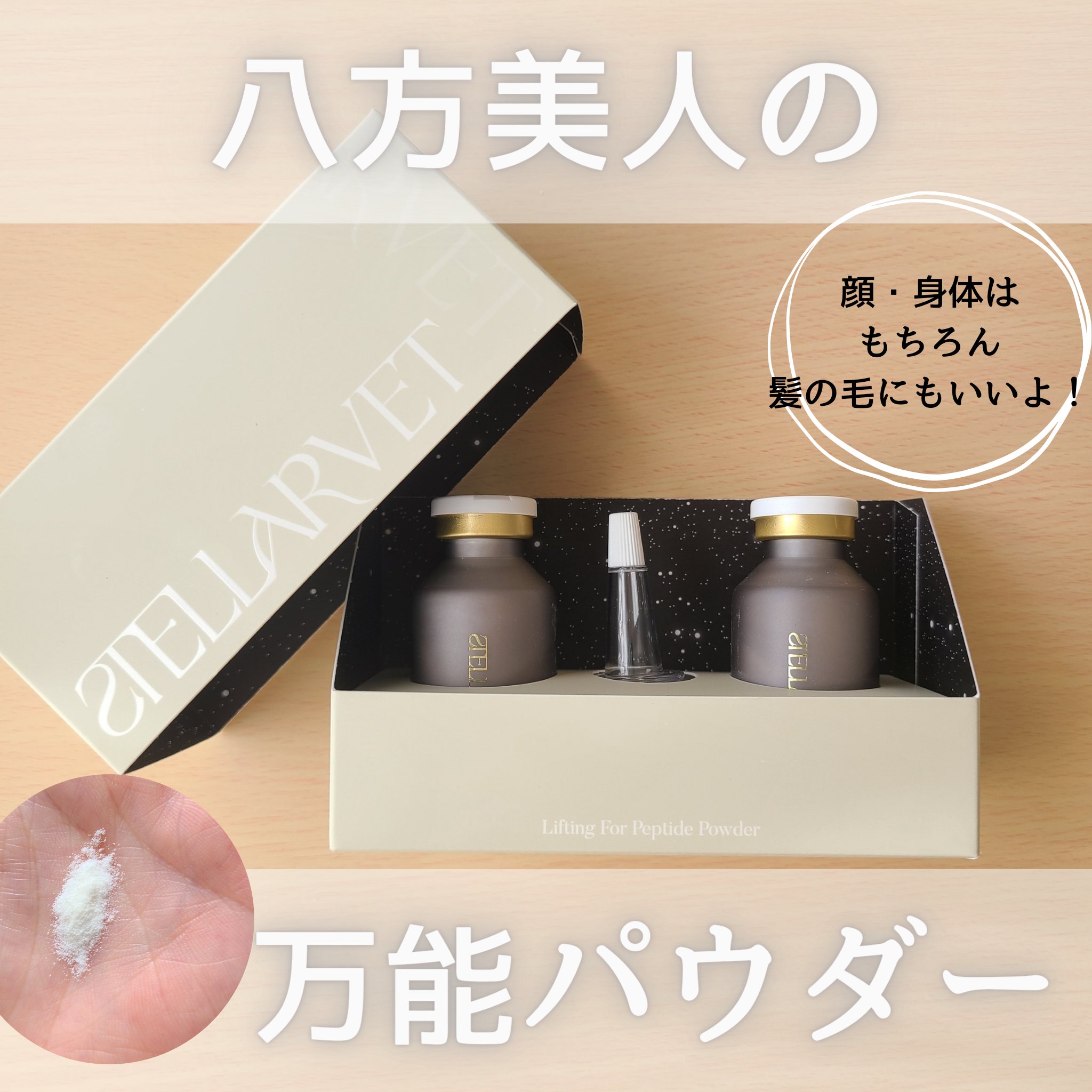 STELLARVET(ステラベット) | 定番から新作まで人気おすすめ商品