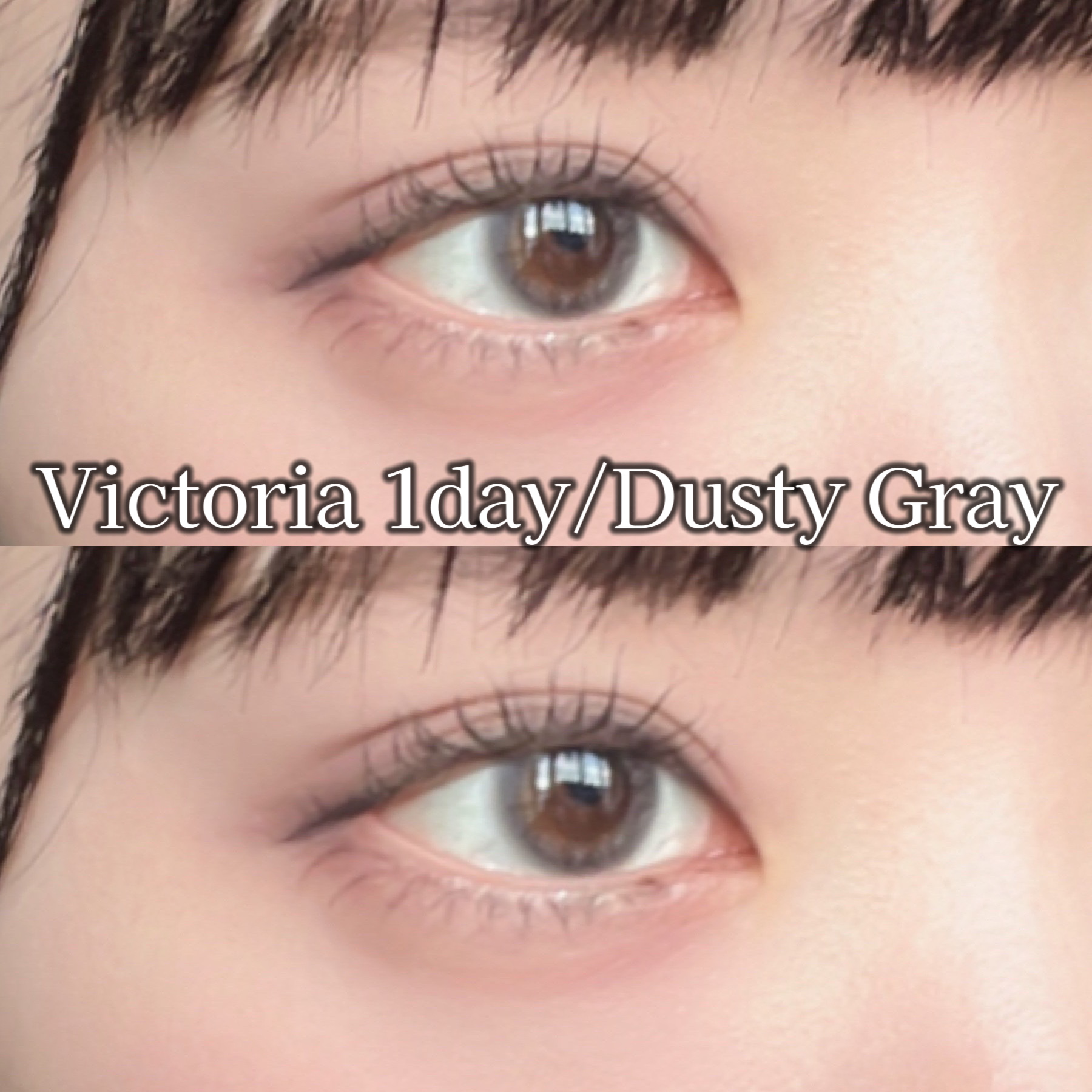 Victoria(ヴィクトリア）1day Dusty Gray/Victoria/ワンデー（１DAY）カラコンを使ったクチコミ（2枚目）