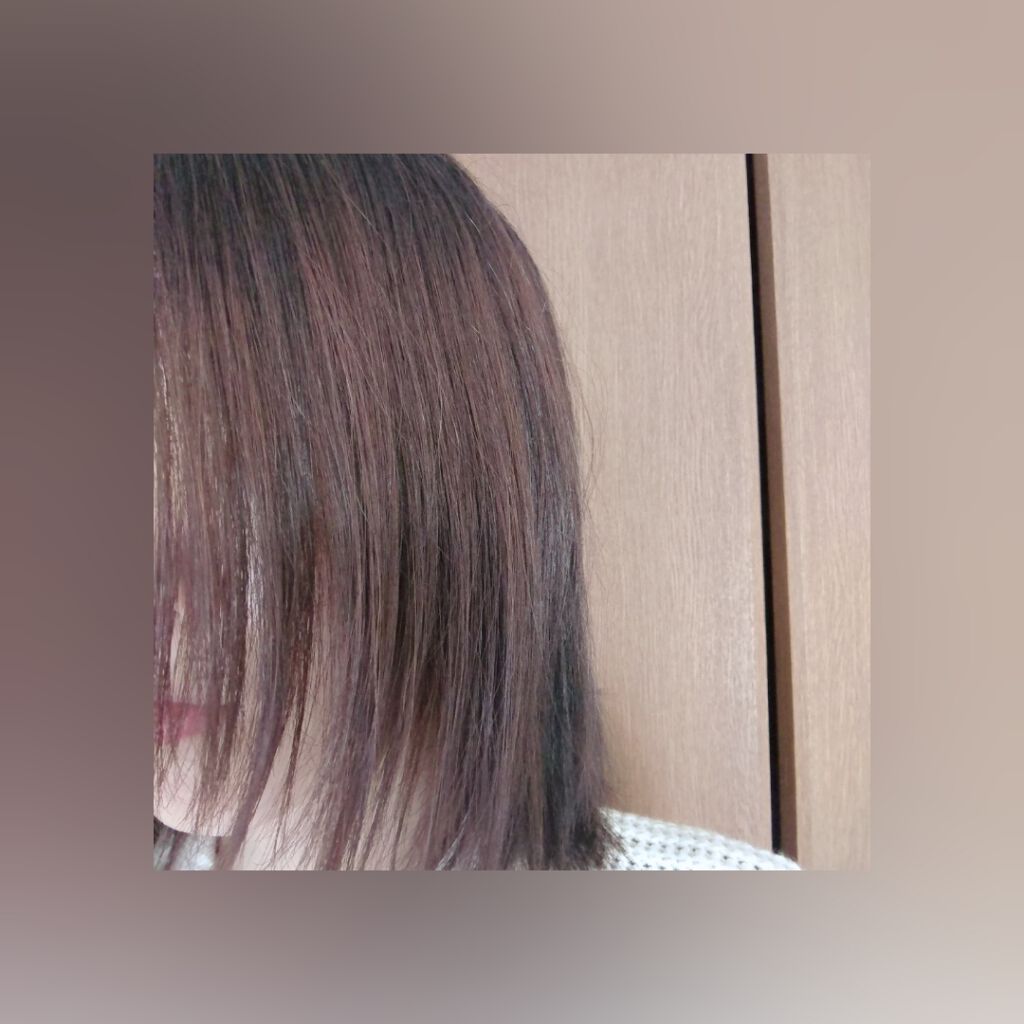 ãã©ã¯ã«ãº ããªã¥ãŒã  ãã©ã€ã·ã£ã³ããŒ/ãã³ããŒã³/ãã©ã€ã·ã£ã³ããŒã䜿ã£ãã¯ãã³ãïŒ3æç®ïŒ