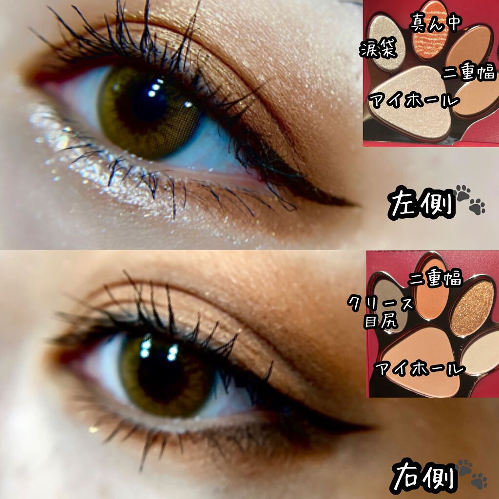 トラ十色アイシャドウパレット/COLORKEY/アイシャドウパレットを使ったクチコミ(4枚目)