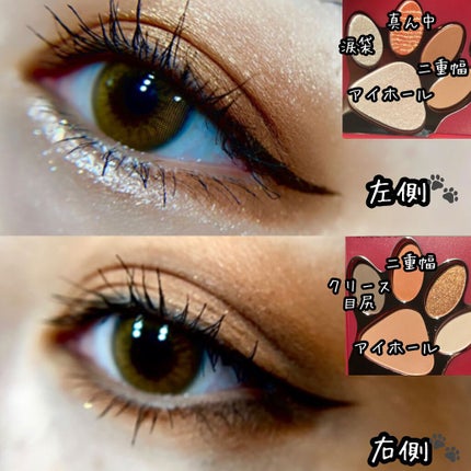 トラ十色アイシャドウパレット/COLORKEY/アイシャドウパレットを使ったクチコミ(4枚目)