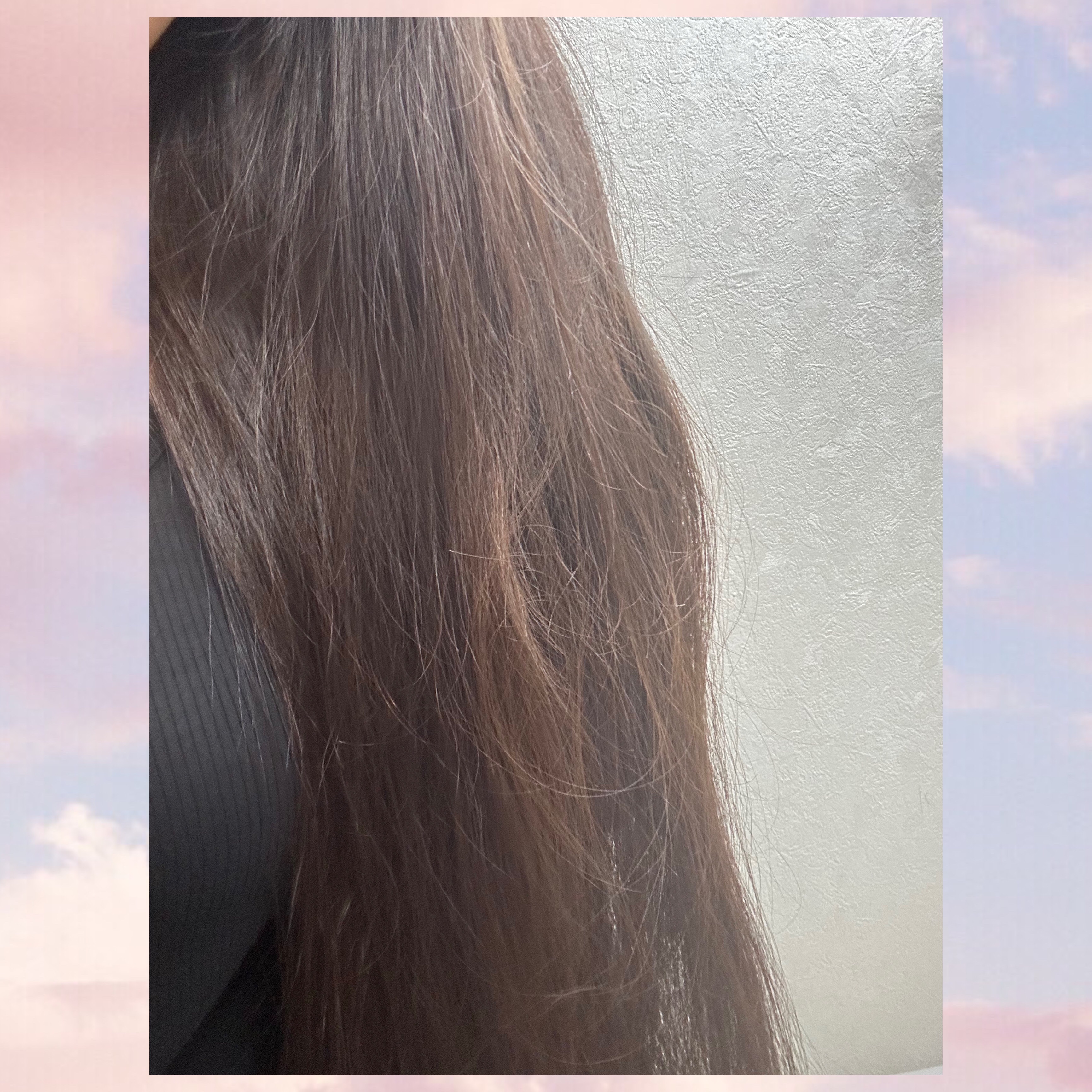 リッチグロス シャンプー シャイニー／ヘアトリートメント シャイニー/ハニーク/市販シャンプーを使ったクチコミ（1枚目）