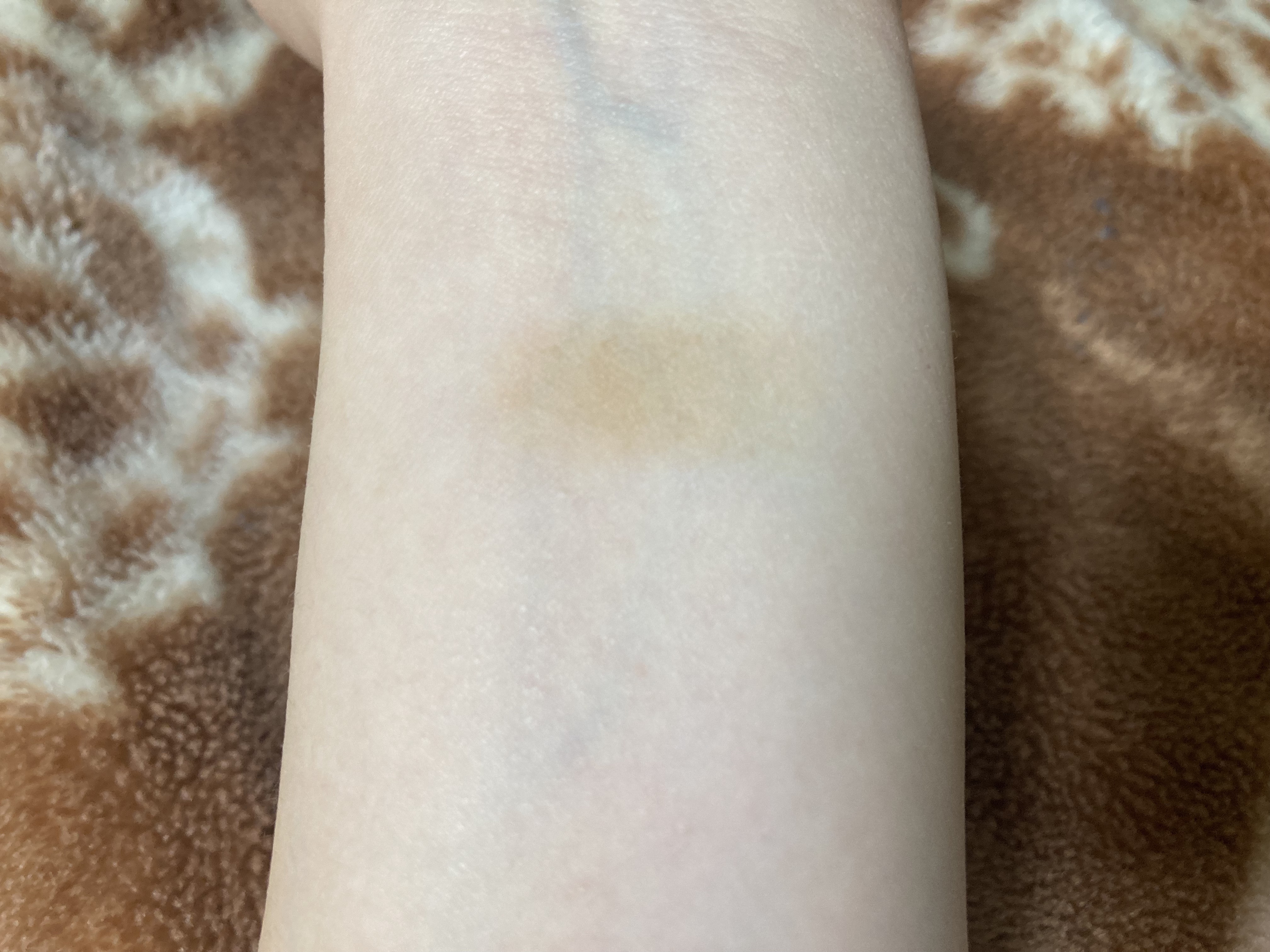 シェーディングパウダー 01 デニッシュブラウン/キャンメイク/シェーディングを使ったクチコミ（2枚目）