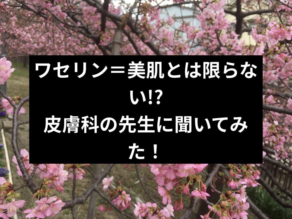 ワセリン/大洋製薬/ボディクリームを使ったクチコミ（1枚目）