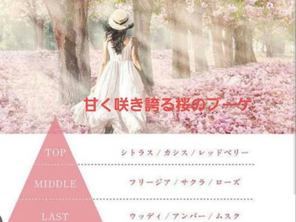 ハンドクリーム アルカナヤエカ327 /SE:CRUNO/ハンドクリームを使ったクチコミ(2枚目)