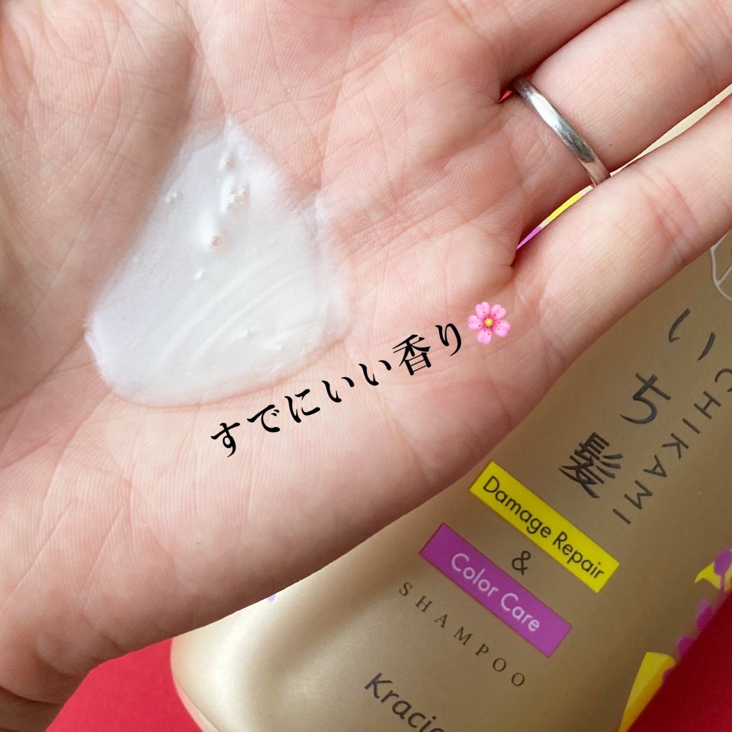 ãã¡ãŒãžãªãã¢ïŒã«ã©ãŒã±ã¢ ã·ã£ã³ããŒ/ã³ã³ãã£ã·ã§ããŒ/ãã¡é«ª/åžè²©ã·ã£ã³ããŒã䜿ã£ãã¯ãã³ãïŒ2æç®ïŒ