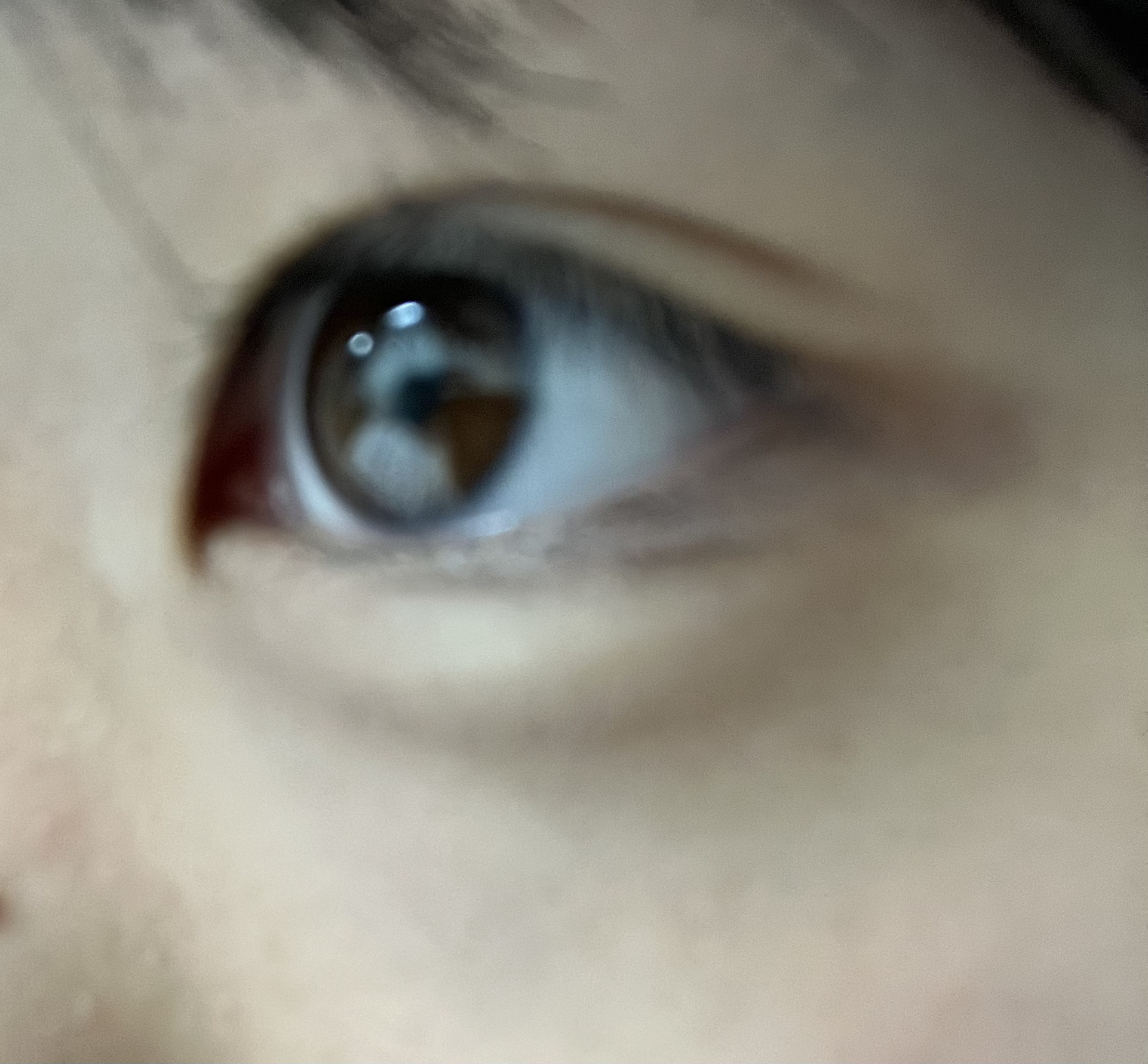 パーフェクトマルチアイズ/キャンメイク/アイシャドウパレットを使ったクチコミ（3枚目）