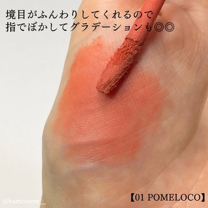 rom&nd ブラーファッジティント/rom&nd/リップティントを使ったクチコミ(7枚目)