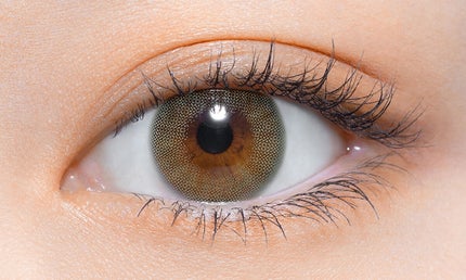 パームグリーン