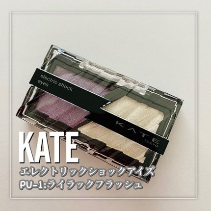 エレクトリックショックアイズ PU-1 ライラックフラッシュ/KATE/アイシャドウパレットを使ったクチコミ(2枚目)