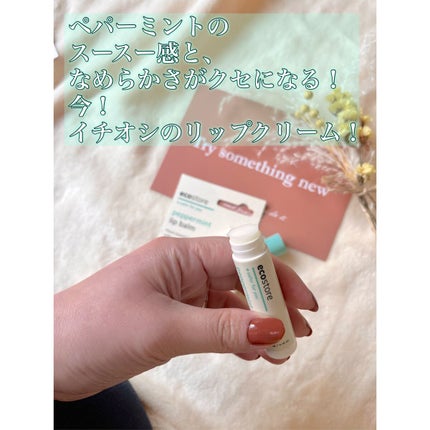 リップバーム/ecostore/リップバームを使ったクチコミ(2枚目)