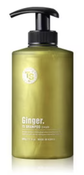 TS Trillion TSジンジャーシャンプー