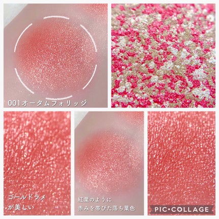 パウダー ブラッシュ L/PAUL & JOE BEAUTE/パウダーチークを使ったクチコミ(4枚目)