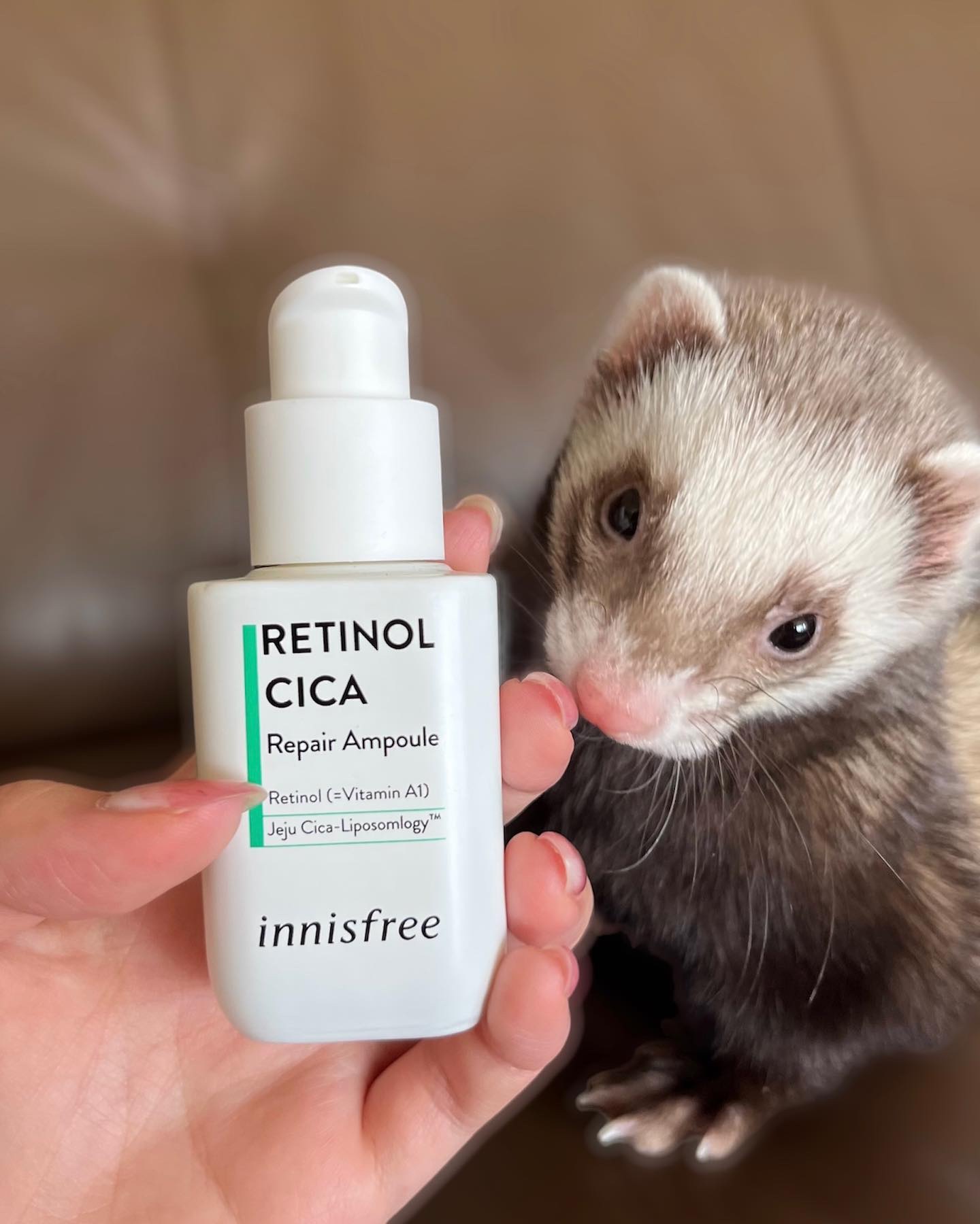 レチノール　シカ　リペア　セラム/innisfree/美容液を使ったクチコミ（3枚目）