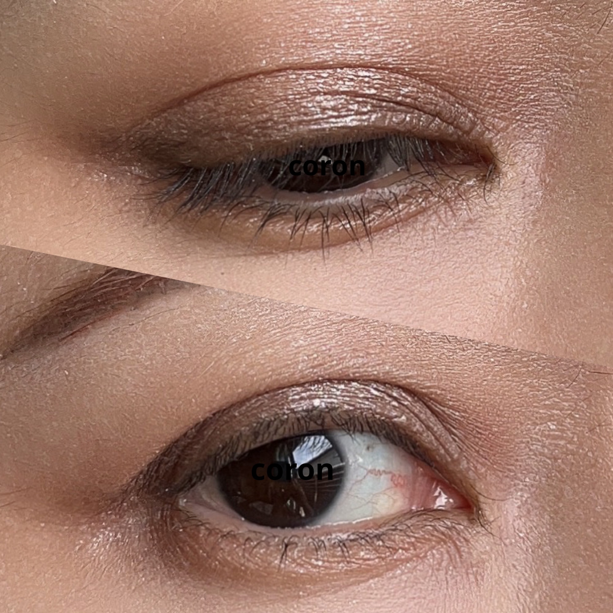 シマリング スキン パーフェクター/BECCA/化粧下地を使ったクチコミ（2枚目）