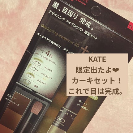 ケイト デザイニングアイブロウ3D/KATE/パウダーアイブロウを使ったクチコミ(1枚目)