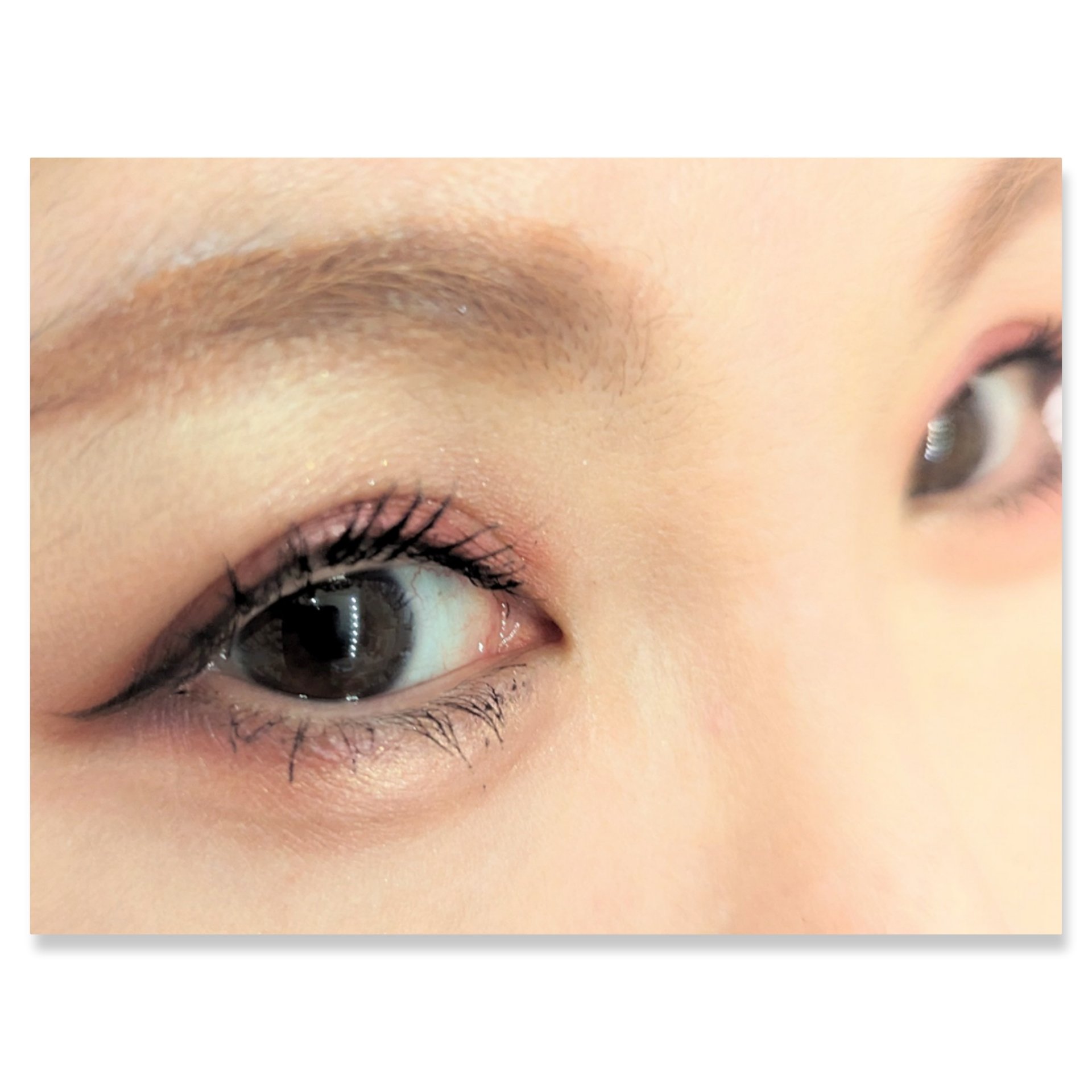 プロ シングル シャドウ(AD)/CLIO/単色アイシャドウを使ったクチコミ（2枚目）