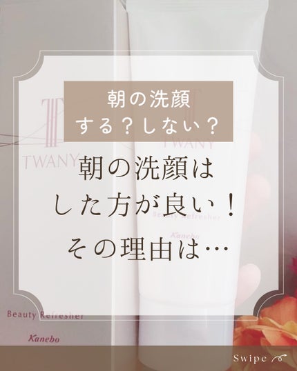 ビューティリフレッシャー/TWANY/その他洗顔料を使ったクチコミ(1枚目)